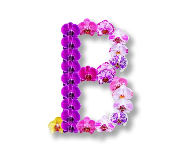 Foto forma b hecha de varios tipos de flores de orquídeas.