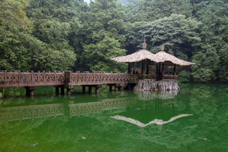 La forma de caminar va al pabellón en el área del parque nacional Alishan en Taiwán.