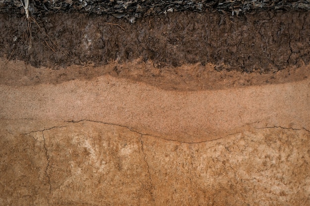 Forma de las capas del suelo, su color y texturas, capas de textura de la tierra.