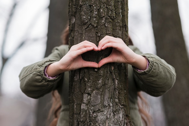 Forma de corazón hecha de manos en un árbol