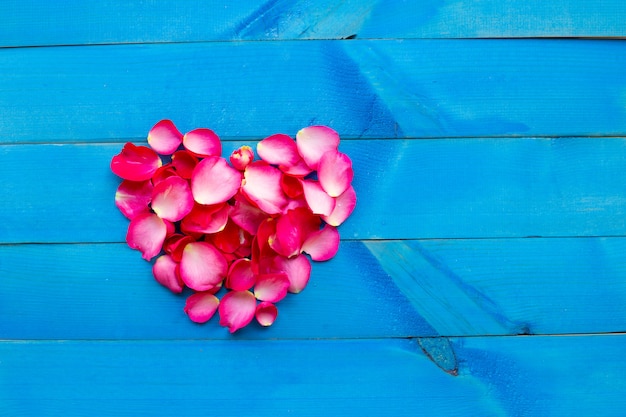 Forma del corazón de los pétalos de Rose en fondo de madera azul.