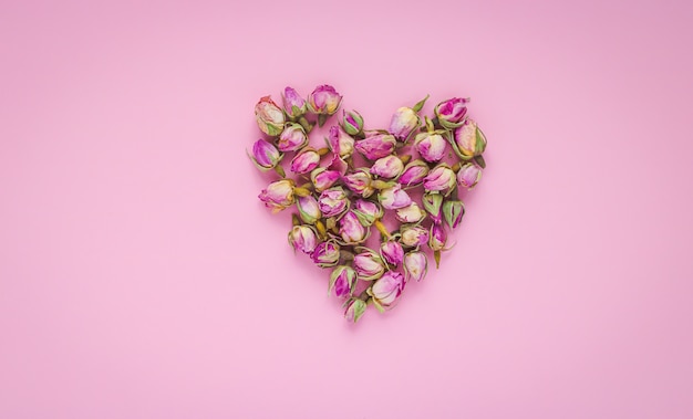 Forma de coração feita por flores secas em fundo pastel.