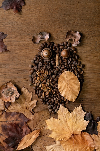 Forma de coruja bonita de grãos de café e especiarias. Coruja sentar no galho com uma xícara de café e folhas de outono sobre fundo de madeira. Conceito engraçado de café misterioso