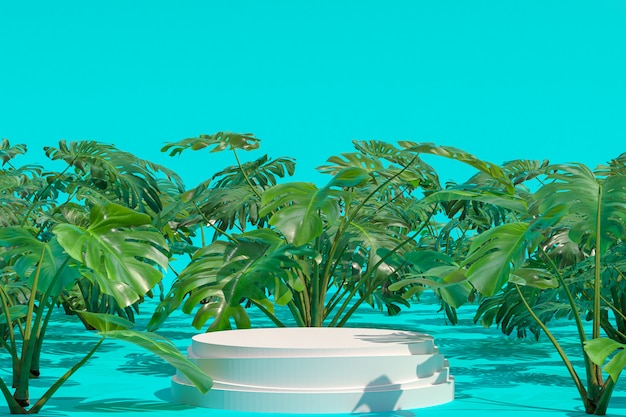 Forma geométrica do pódio branco no jardim natural de monstera deliciosa para a exibição de produtos, fundo verde abstrato do borrão, banners de mídia social da promoção de espaço vazio cópia, renderização em 3d