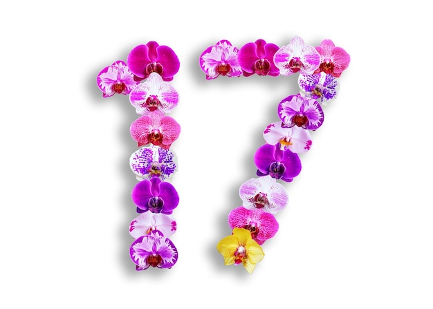 La forma del número 17 está hecha de varios tipos de flores de orquídeas adecuadas para plantillas de aniversario de cumpleaños y día conmemorativo