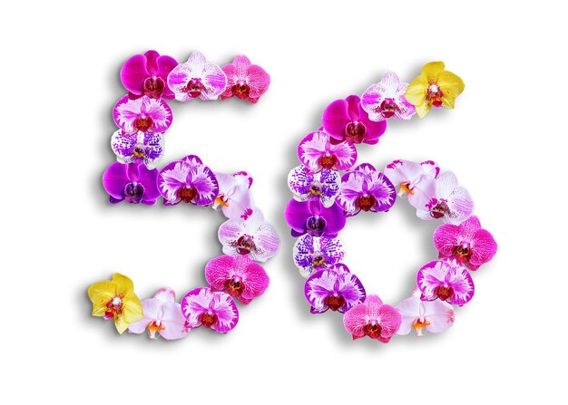 La forma del número 56 está hecha de varios tipos de flores de orquídeas adecuadas para plantillas de aniversario de cumpleaños y día conmemorativo