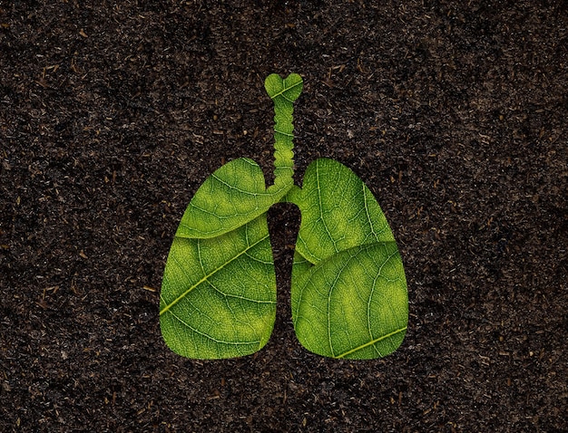 Forma de pulmones de hojas verdes en el concepto de ecología de fondo del suelo