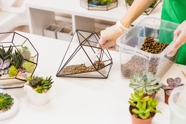 Foto forma de vidrio y metal para plantas e interiores, suculentas, arena, tierra y plantas. decoración del hogar u oficina y diseño de interiores. plantar plantas y crear un diseño.