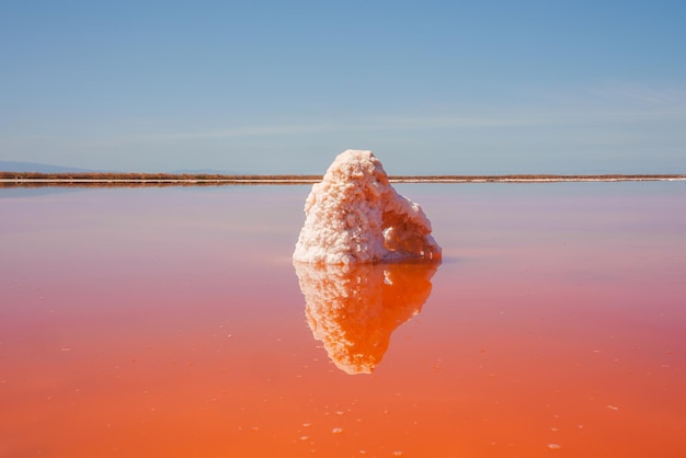 Foto formação de sal de pink lake park reflexão alviso califórnia