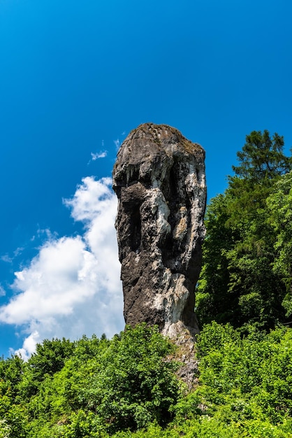 Formação rochosa da natureza Hercules Mace no Parque Nacional Ojcowski perto de Cracóvia Polônia