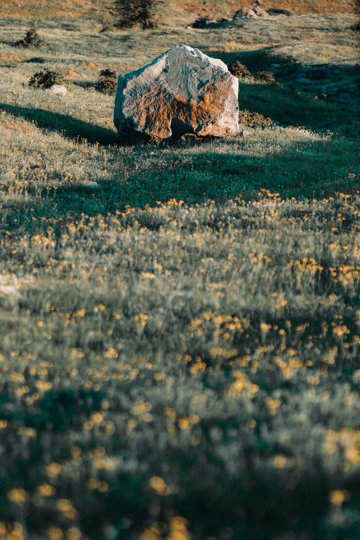 Foto formação rochosa em campo de flores
