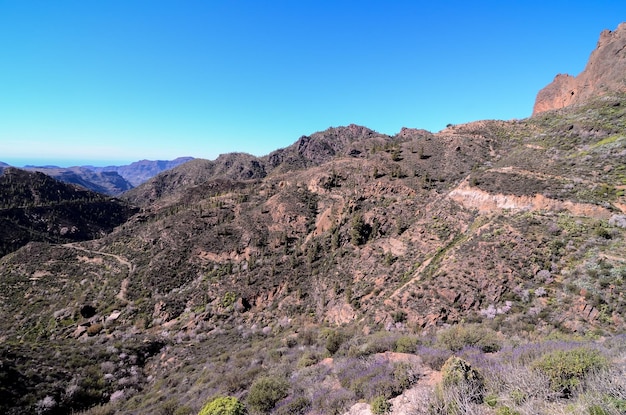 Formación basáltica de roca volcánica en Gran Canaria Islas Canarias