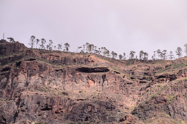 Foto formación basáltica de roca volcánica en gran canaria islas canarias