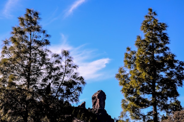 Formación basáltica de roca volcánica en Gran Canaria