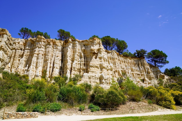 Formación de chimeneas de piedra caliza parque geológico natural francés en Orgues Ille sur Tet Languedoc en Francia