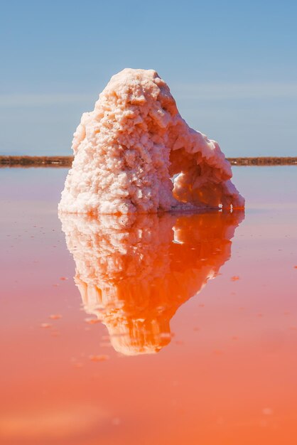 Foto formación de sal única en el parque del lago rosa de alviso, california