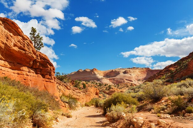 Formaciones de arenisca en Utah, EE. UU.