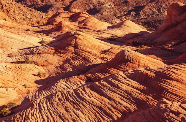 Formaciones de arenisca en Utah, Estados Unidos. Pisos Yant