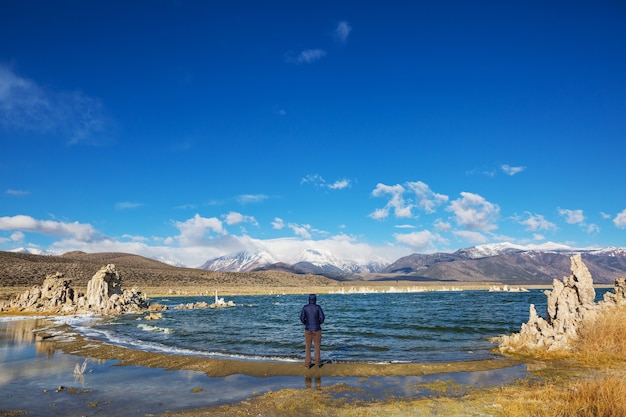 Formaciones de mono lago