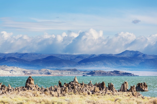 Formaciones de mono lago