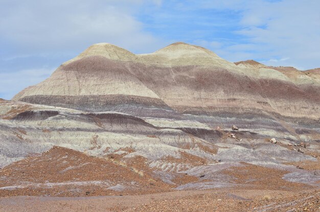 Foto formaciones rocosas en el desierto