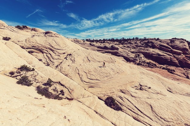 Formações de arenito em Utah, EUA. Yant flats