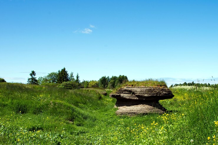 Foto formações de calcário cársico na estônia, perto da cidade de tallinn. erosão do solo e buracos na superfície na grande área kostivere.