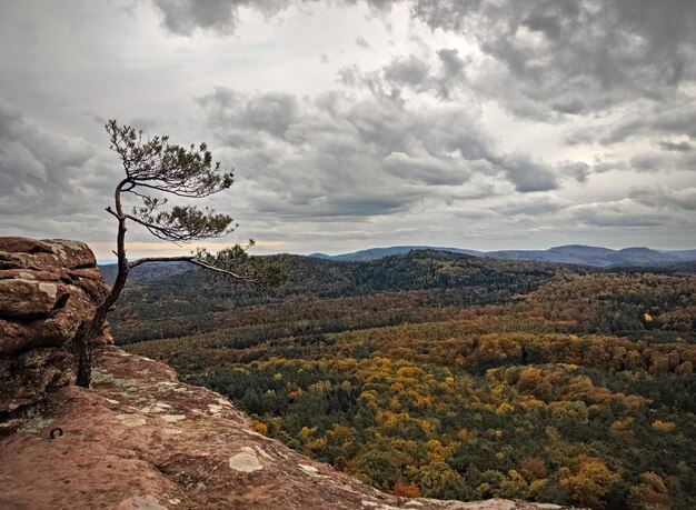 Formações rochosas com uma bela vista panorâmica sobre a floresta do Palatinado no outono