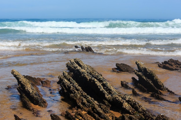 Formações rochosas na praia arenosa (Algarve, Costa Vicentina, Portugal).