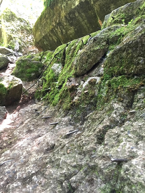 Formações rochosas na rocha
