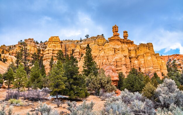 Formações rochosas no Red Canyon dentro da Floresta Nacional Dixie, em Utah, Estados Unidos