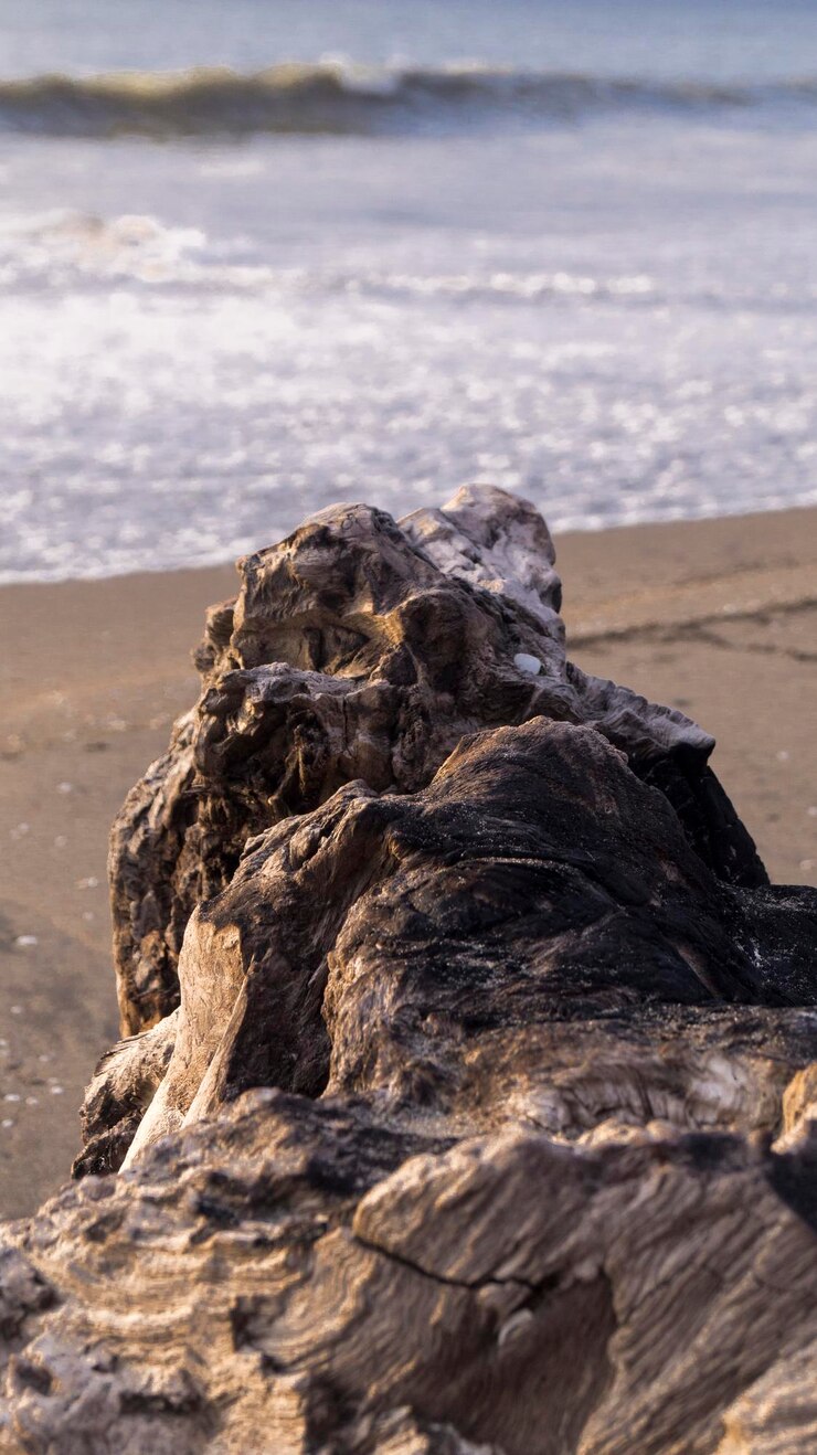 Foto formações rochosas semelhantes a madeira na praia
