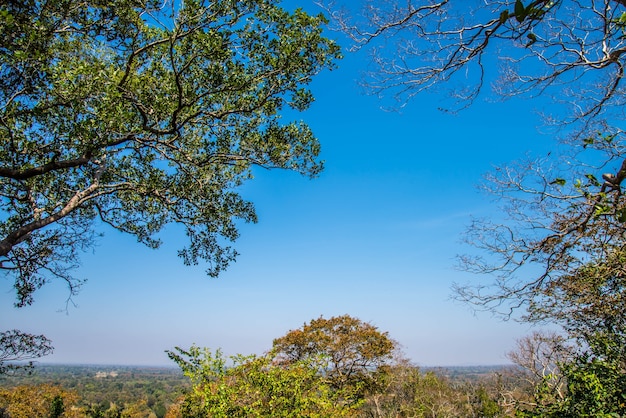 Forrest y cielo