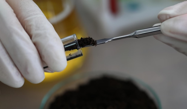 Forscher hält Glaskolben mit Erde in der Hand