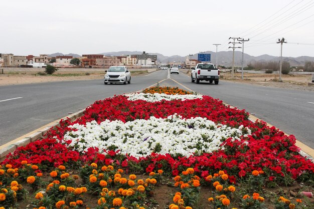 La Fortaleza de Asfan se encuentra en el pueblo de Asfan, que se encuentra a pocos kilómetros al norte de Jeddah.