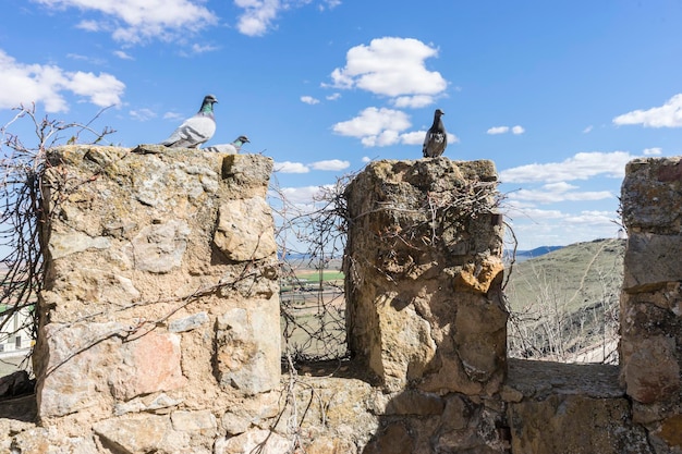 fortaleza y castillo de Consuegra en Toledo, España. fortificación medieval