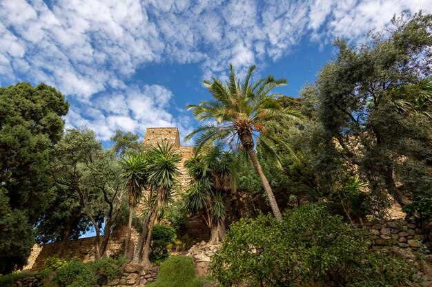 Foto fortaleza de alcazaba de velez