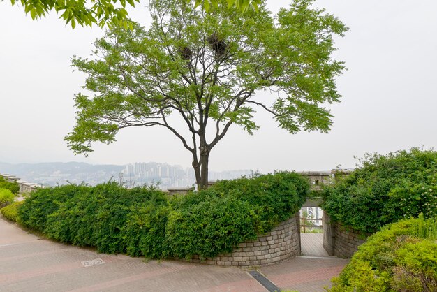 Foto la fortaleza de seúl en la montaña naksan