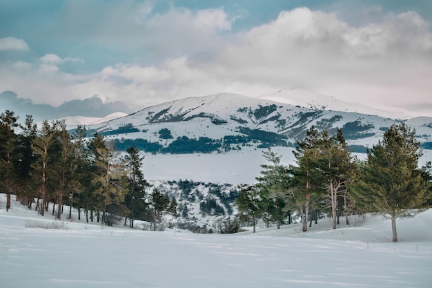 Forte paisagem de inverno com montanha e abetos em Aparan, Armênia