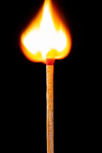 Fósforo ardiendo en detalle visto a través de un enfoque selectivo de fondo negro de lente macro