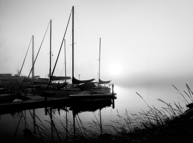 Foto foss hierba y niebla