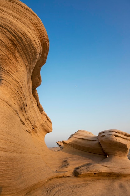 Foto fossiliertes gestein aus abu dhabi, vereinigte arabische emirate