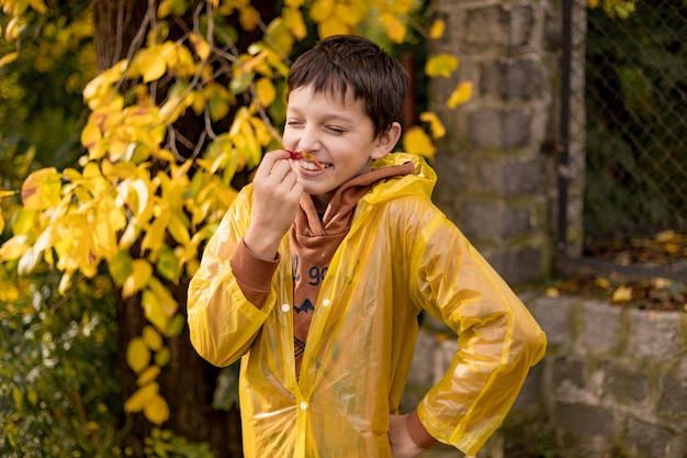 Foto de un adolescente en gabardina amarilla entre hojas de otoño, pasea en el parque, se entrega, hace bigote con hojas de arce, foto de humor