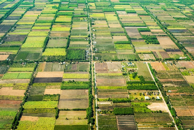 Foto aérea agro