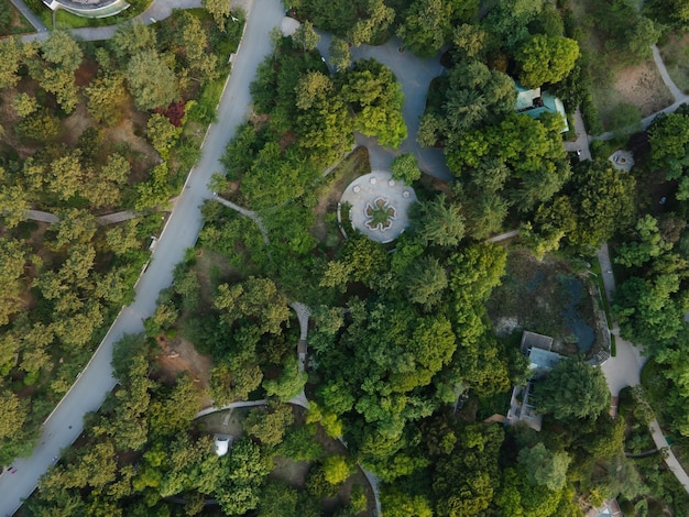 Foto aérea del bosque en el parque.