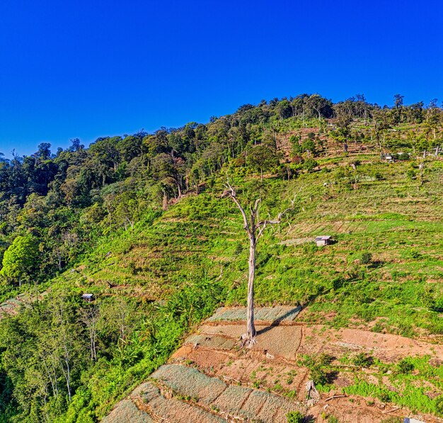 Foto foto aérea del campo del país foto