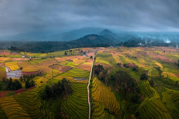 Foto aérea da natureza indonésia com campos de arroz amarelados e belos terraços com mau tempo