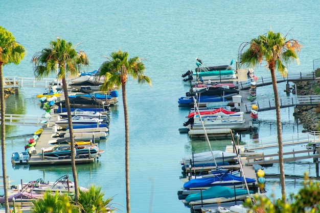Foto aérea de barcos alinhados em um porto com palmeiras altas pairando sobre um mar azul calmo e brilhante