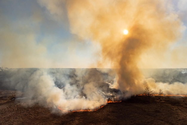 Foto aérea de incêndios florestais em campos e florestas Grande queima de território