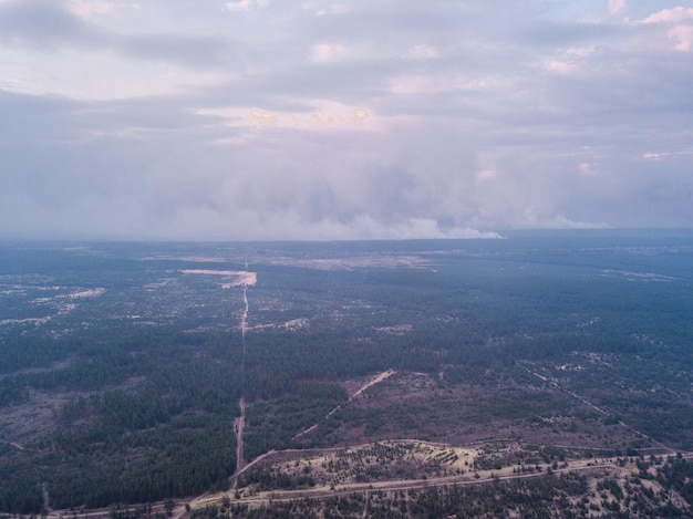 Foto aérea con drone de bosque quemado tras el incendio